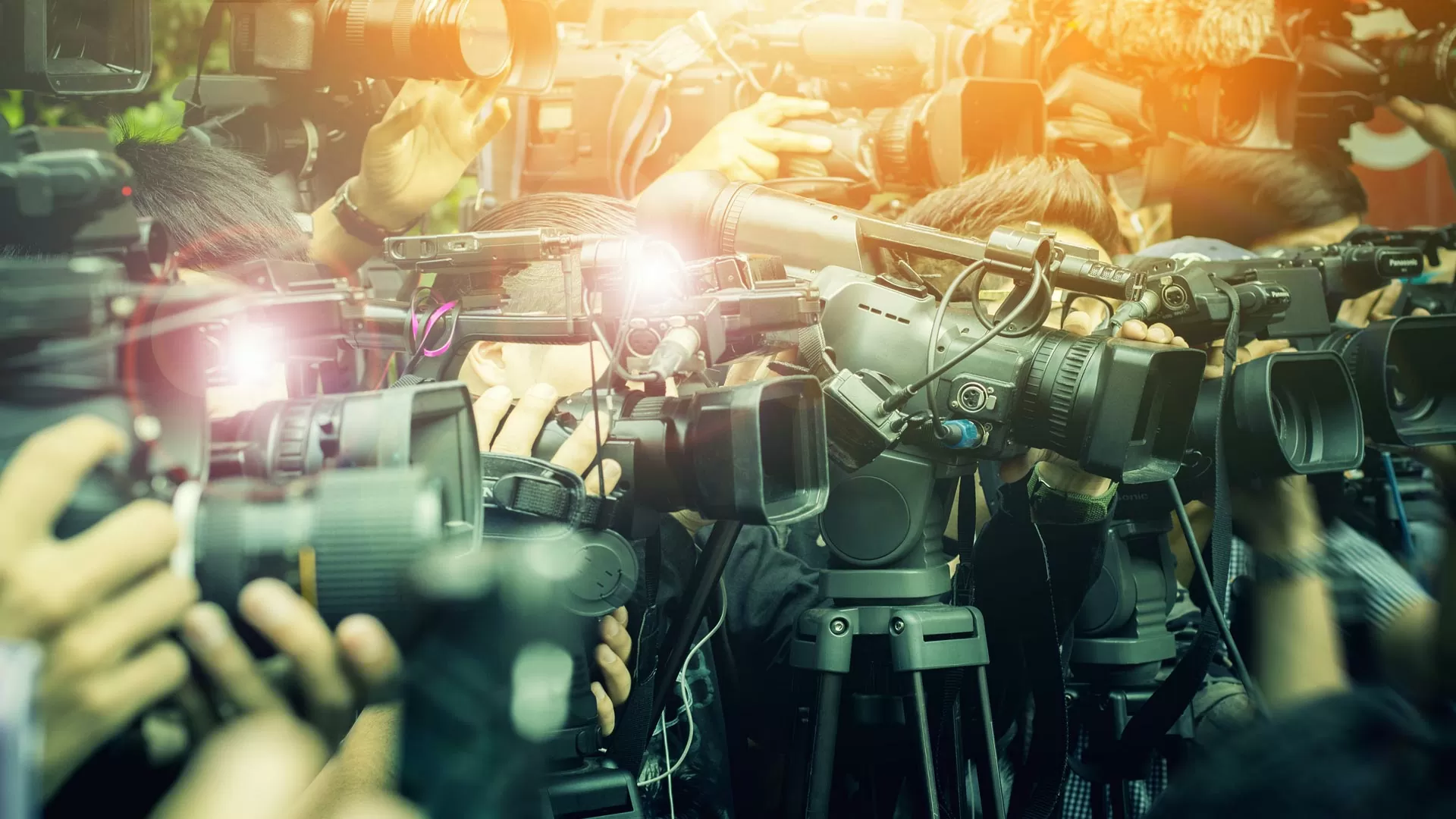 BernerZeitung: Macht dieser Chip Tierversuche überflüssig?